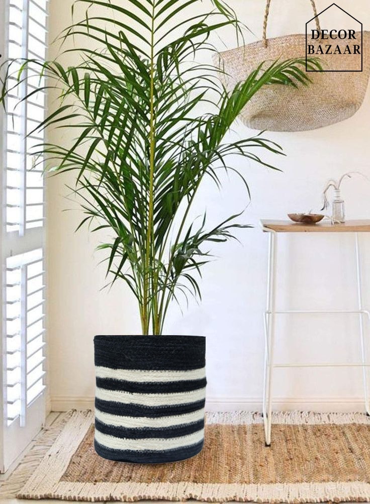 Eco Friendly Products product 30