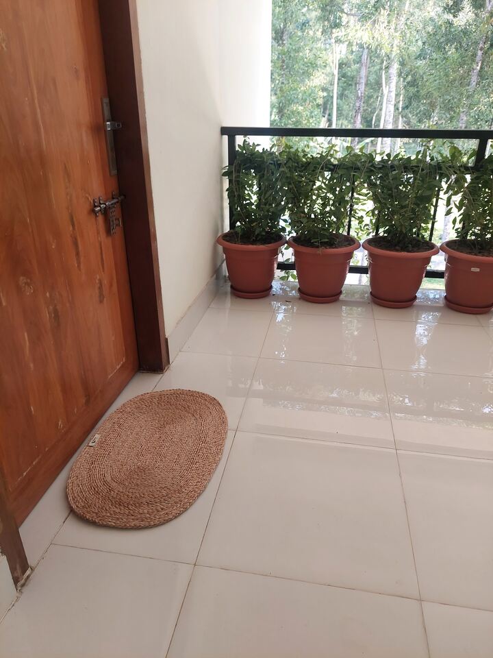 Eco Friendly Products product 49