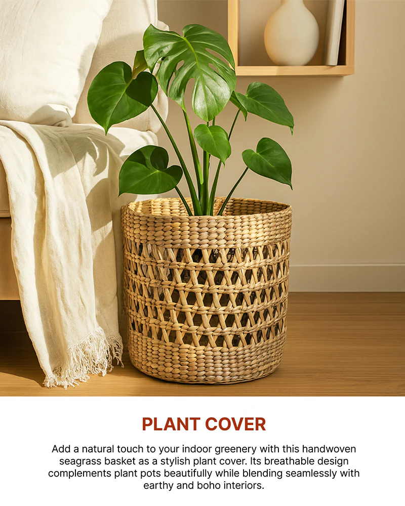 Eco Friendly Products product 78