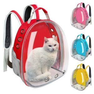 Eco Friendly Products product 72