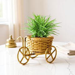 Eco Friendly Products product 6