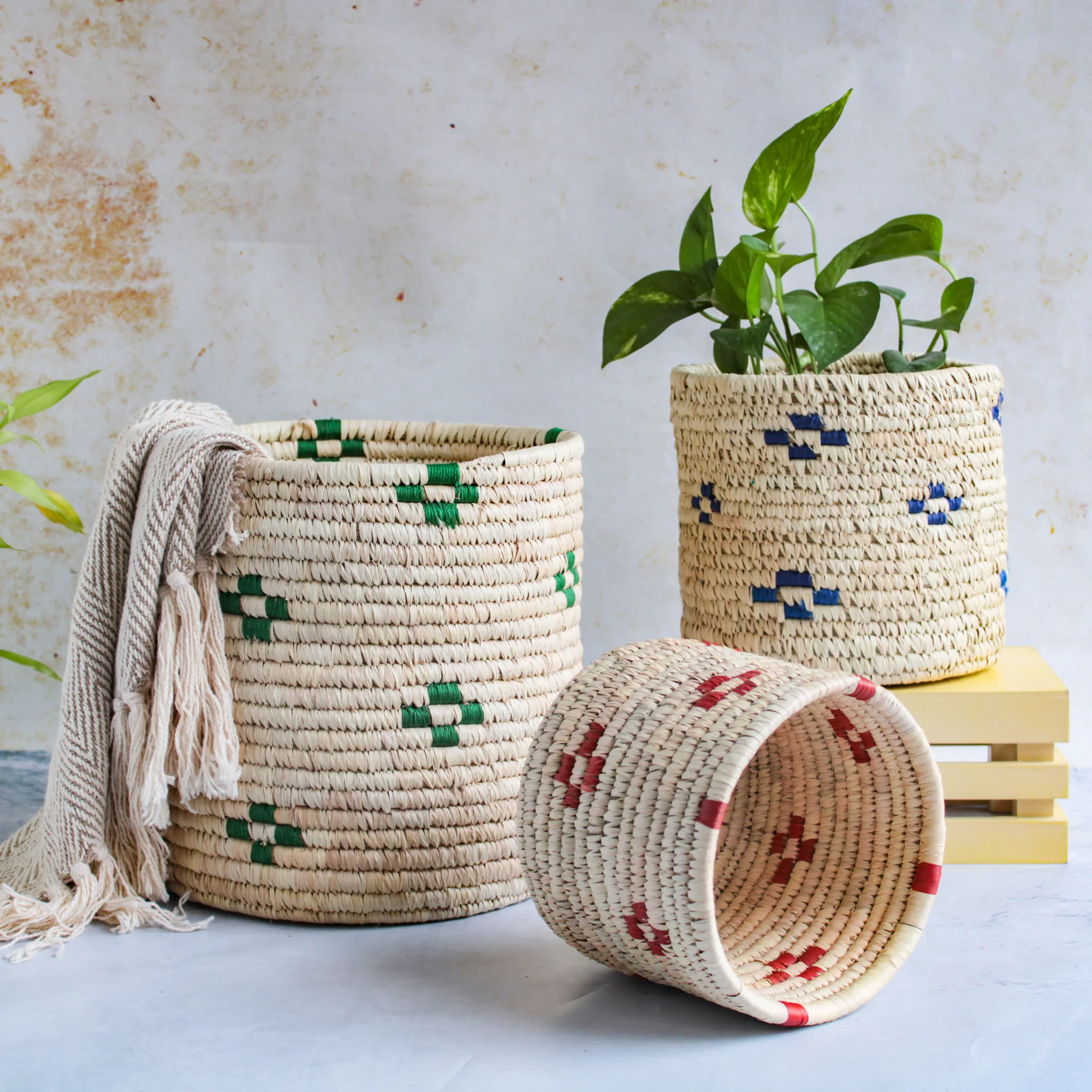 Eco Friendly Products product 24