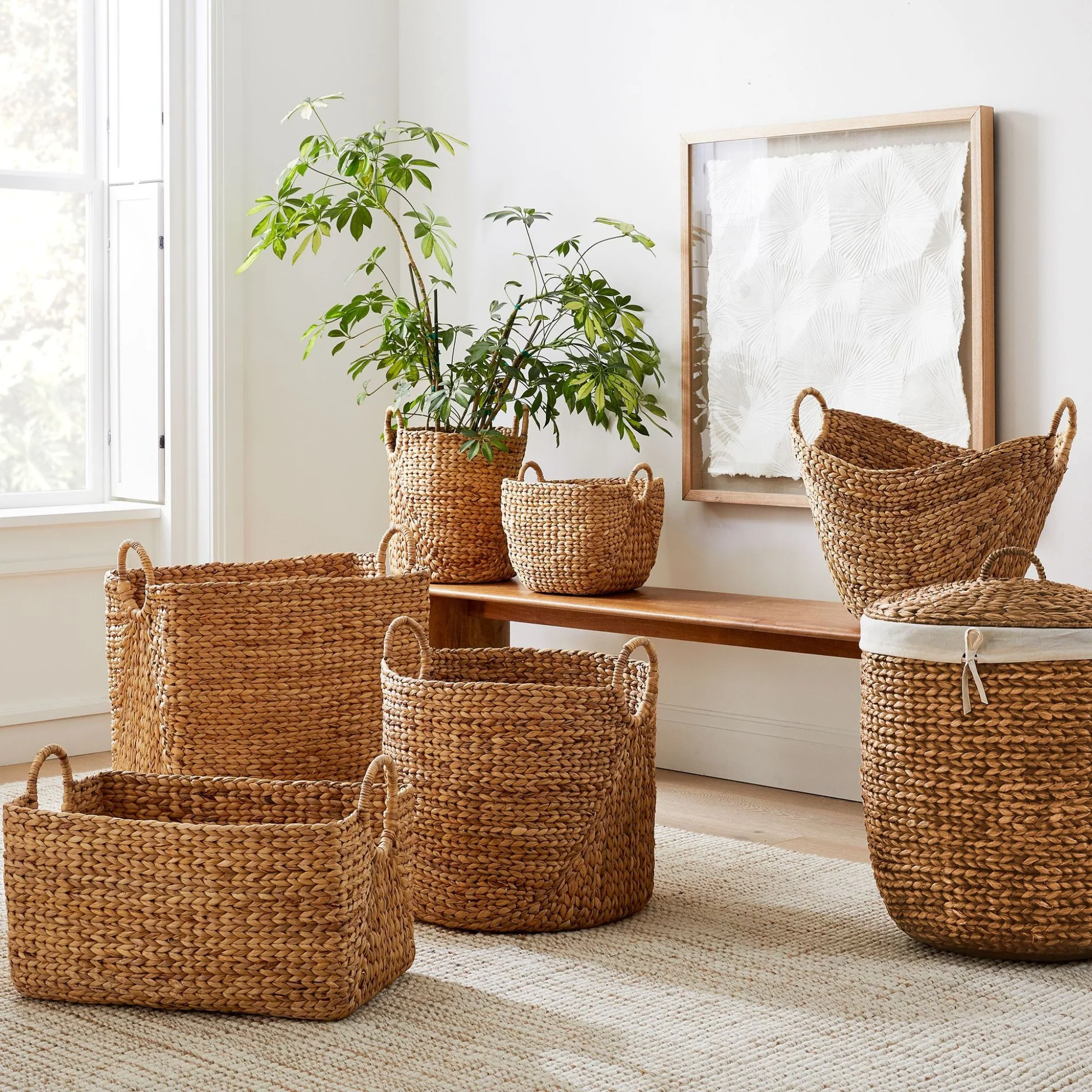 Eco Friendly Products product 26